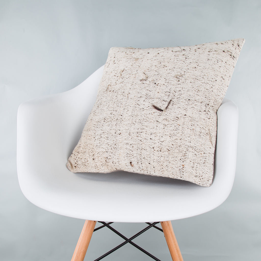 Striped Beige Kilim Pillow Cover 20x20 9183