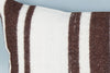 Striped Multiple Color Kilim Pillow Cover 16x24 8508